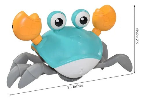 Cangrejo Interactivo